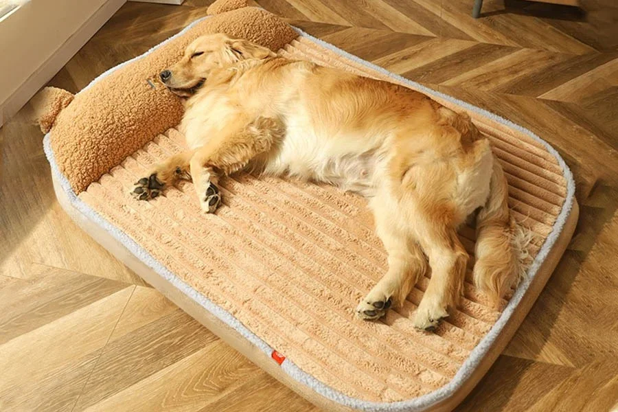  Pet Warming Pads for Cold Weather