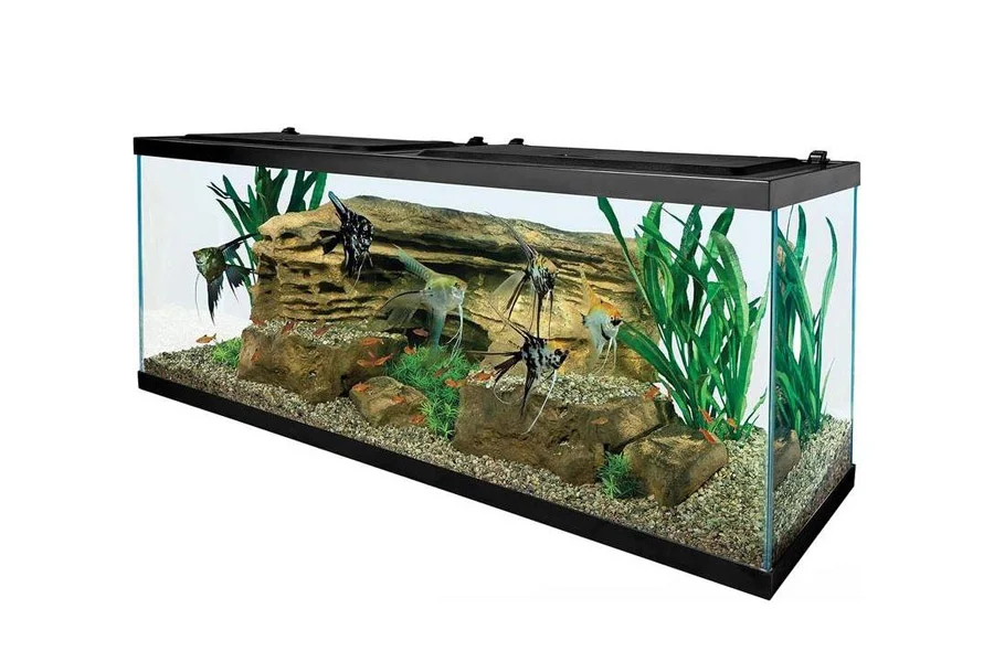 Aquarium tank package