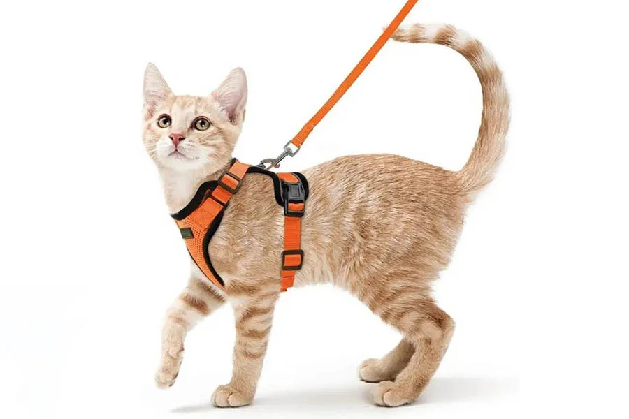 Escape-proof cat harness