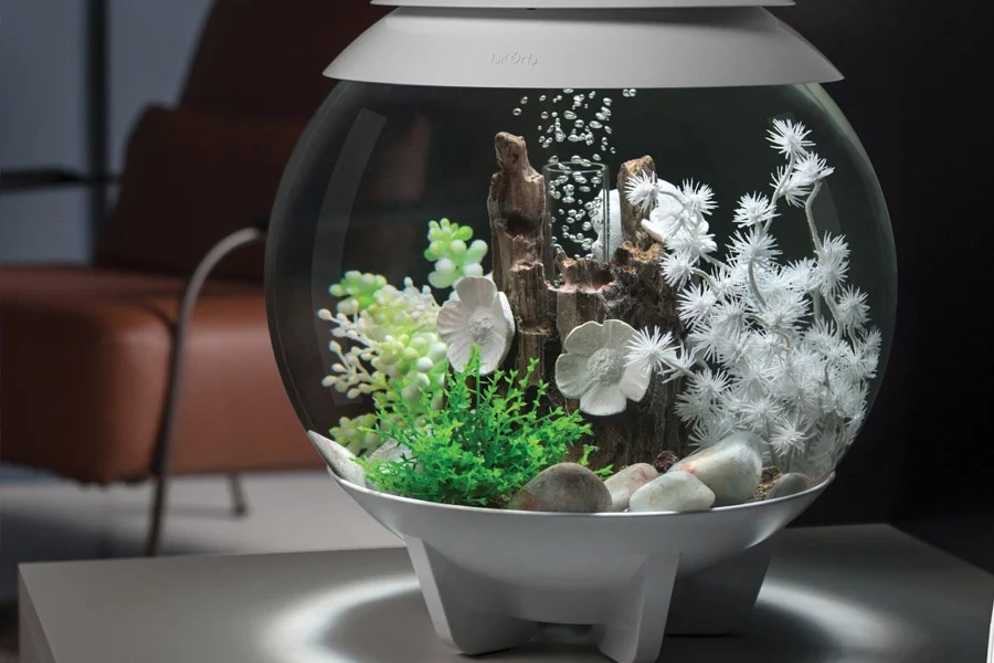 Clear acrylic aquarium