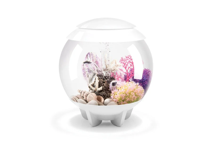 Clear acrylic aquarium