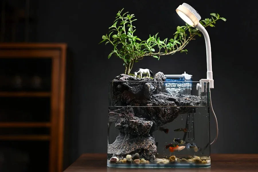 Tiny Aquarium for Fish