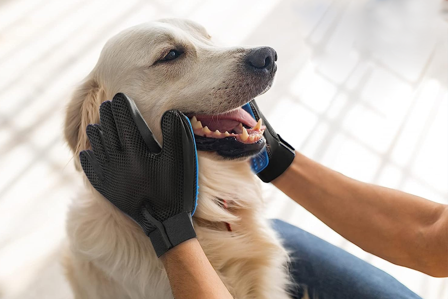 Dog hair removal glove