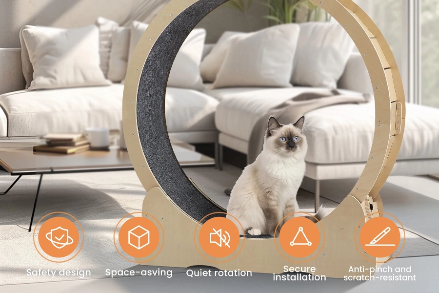 Cat treadmill wheel