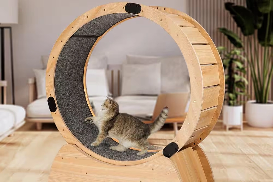 Cat exercise equipment