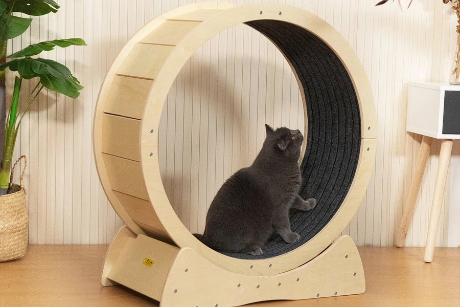 Cat treadmill wheel