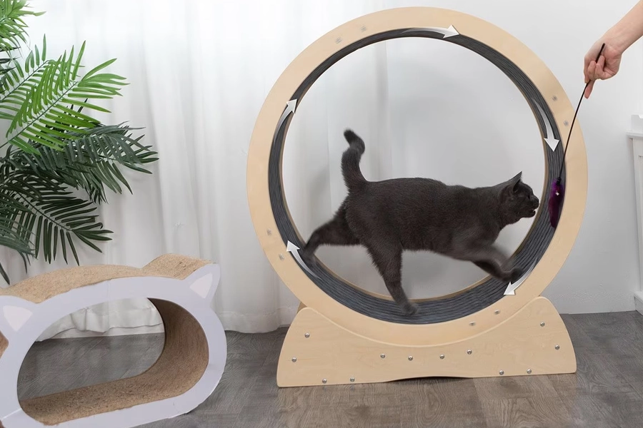 Silent cat running wheel