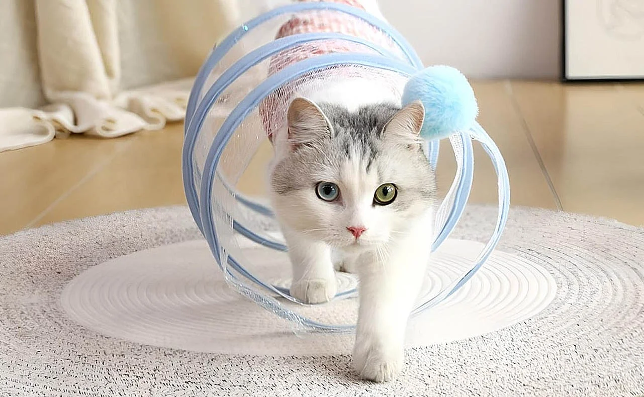 Long Cat Tunnel for Chasing Play