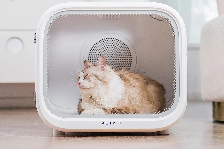 best automatic pet dryer box